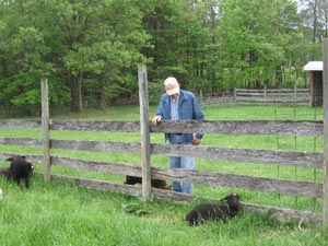 Al and lambs