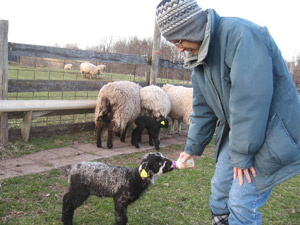 Pat with a bottle lamb