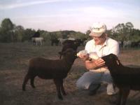Delight and Diana bottle fed