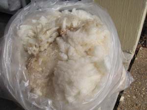 Emma's raw fleece in bag