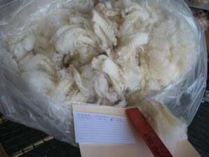 Emma's raw fleece in bag