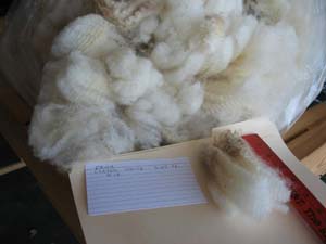 Faith's 2010 raw fleece in bag