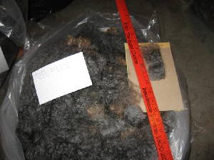Bonnie's 2010 raw fleece