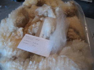 Danielle's 2008 raw fleece in bag