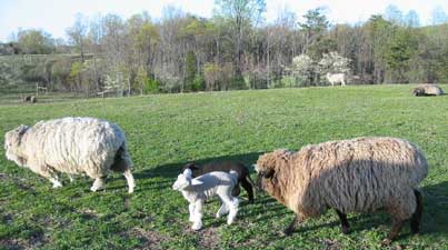 Hershey and family
