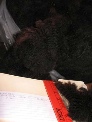 Kerrie's fleece