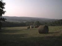 Haybaling, mountain view